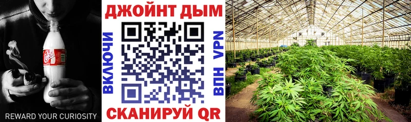 сайты даркнета телеграм  Лаишево  Бошки марихуана конопля 